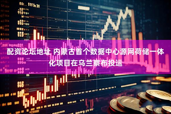 配资论坛地址 内蒙古首个数据中心源网荷储一体化项目在乌兰察布投运