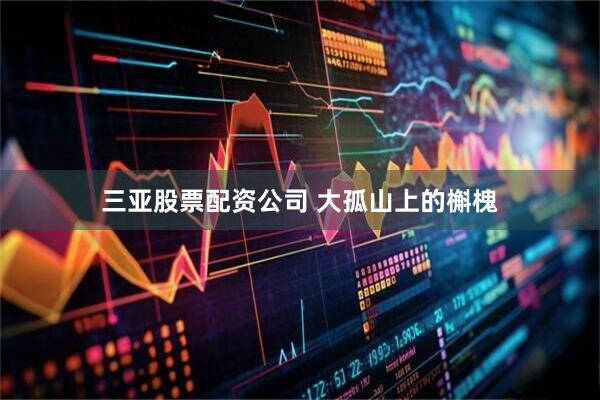 三亚股票配资公司 大孤山上的槲槐